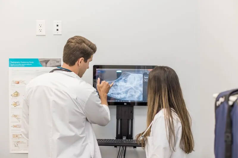 pet surgery for cancer