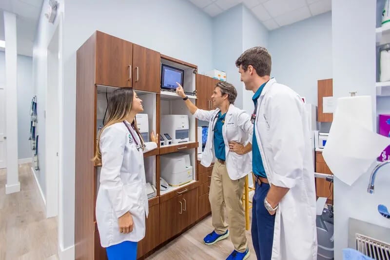 tooth extractions for pets